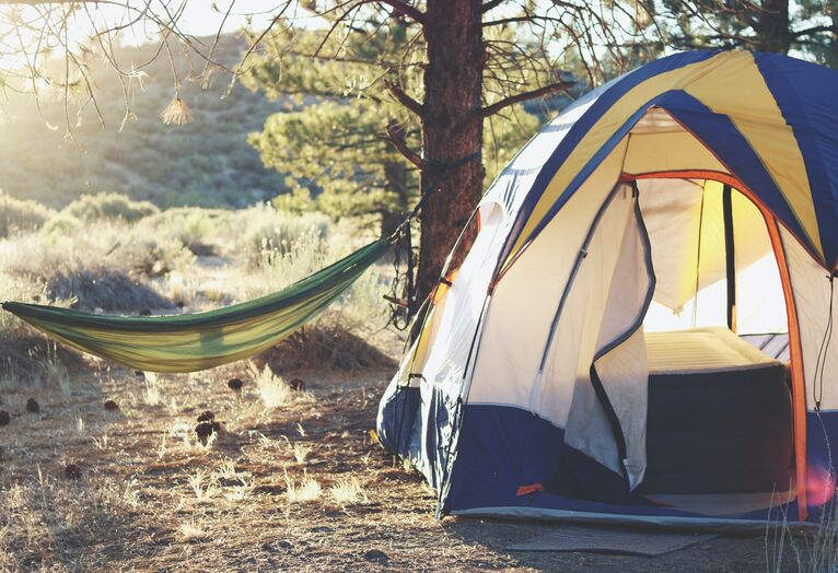 Et telt og en hengekøye i skogen