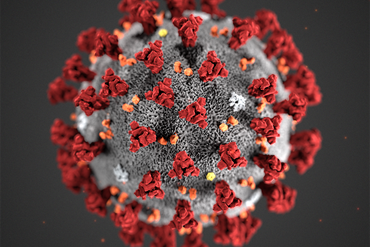 Illustrasjonsfoto av koronaviruset (FHI)
