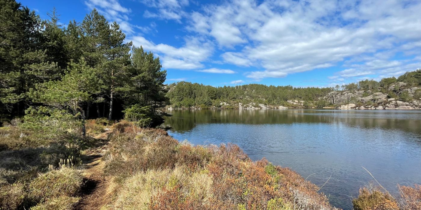 Bildet viser et naturskjønt område ved en innsjø omgitt av skog. En smal sti går langs kanten av innsjøen, omgitt av lav vegetasjon og lyng i ulike brun- og grønnfarger. På venstre side står høye, grønne furutrær som gir skogen et frodig preg. I bakgrunnen ser vi skogkledde åser og steinformasjoner som speiler seg i det rolige vannet. Himmelen er blå med lette skyer, noe som skaper en frisk og solrik atmosfære, ideell for friluftsliv og turgåing.